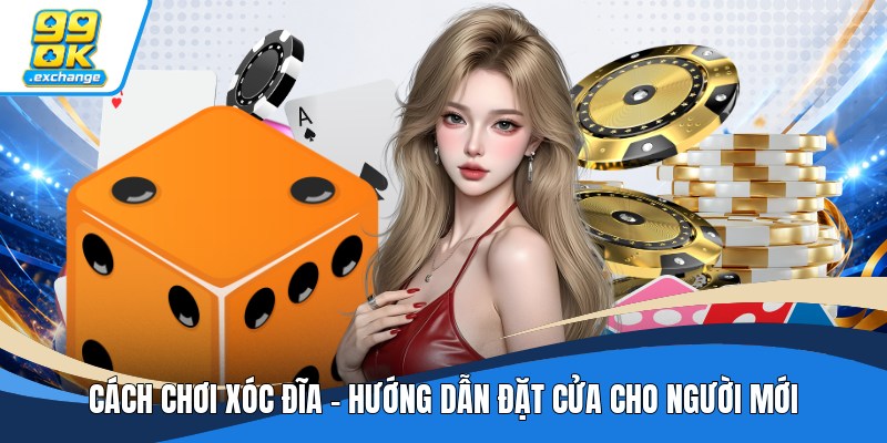 Cách Chơi Xóc Đĩa - Hướng Dẫn Đặt Cửa Cho Người Mới