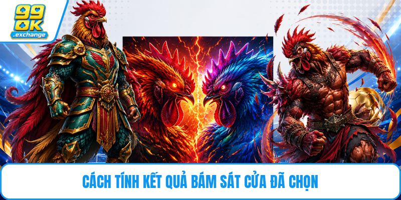 Cách tính kết quả bám sát cửa đã chọn