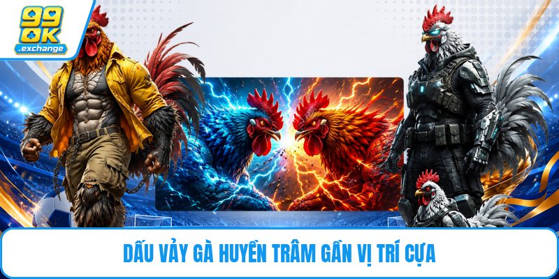 Dấu vảy gà huyền trâm gần vị trí cựa