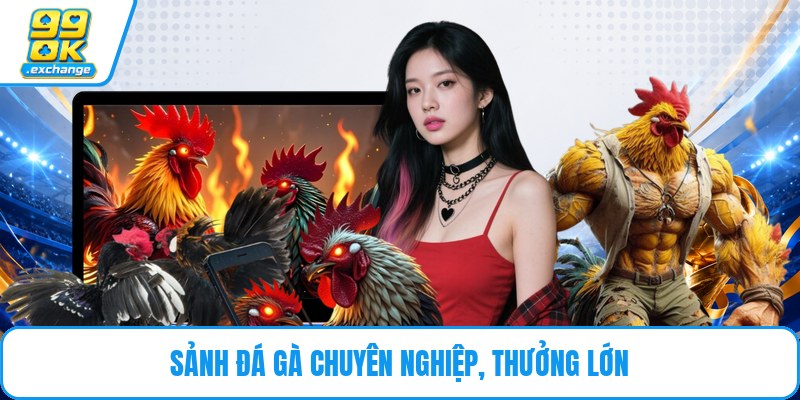 Sảnh đá gà chuyên nghiệp, thưởng lớn