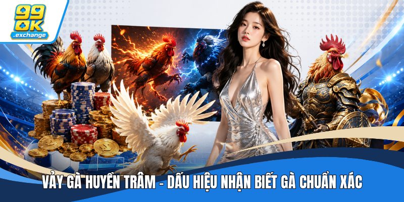 Vảy Gà Huyền Trâm - Dấu Hiệu Nhận Biết Gà Chuẩn Xác