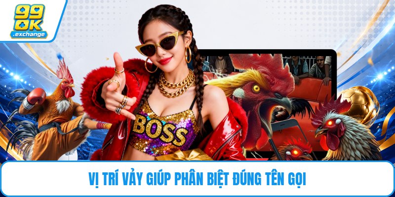 Vị trí vảy giúp phân biệt đúng tên gọi
